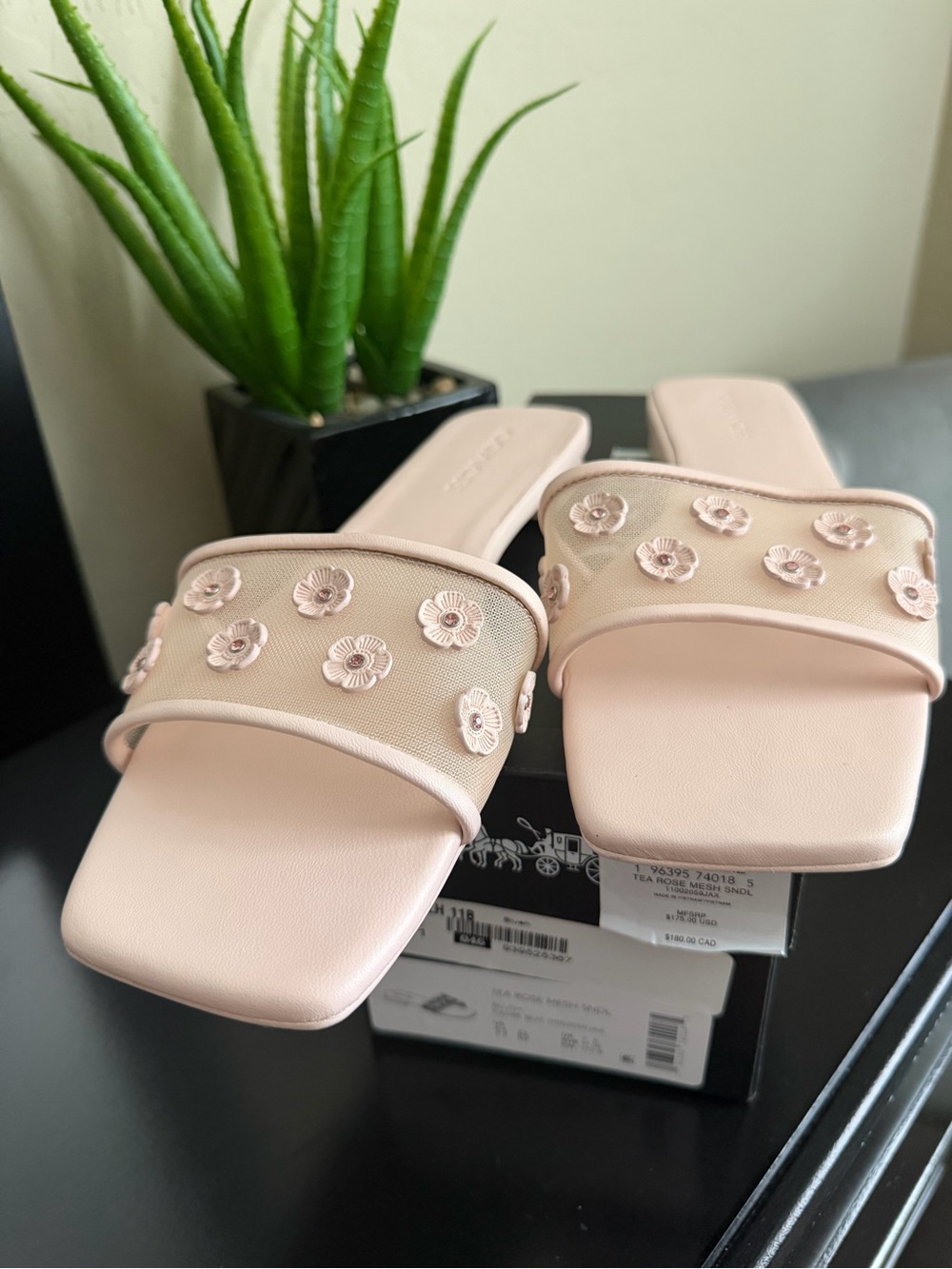 Coach Women's Blush Pink Floral Tea Rose Appliqué Slide Mules